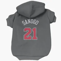 Chicago Bulls Adama Sanogo Black Pet Hoodie for Dog & Cat