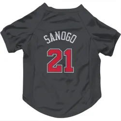 Chicago Bulls Adama Sanogo Black Pet Jersey for Dog & Cat
