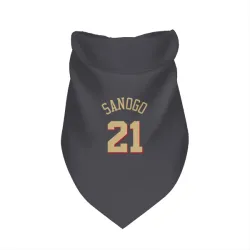 Chicago Bulls Adama Sanogo Gray Pet Bandana for Dog & Cat