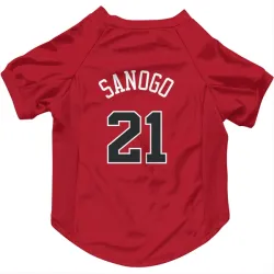 Chicago Bulls Adama Sanogo Red Pet Jersey for Dog & Cat