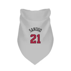 Chicago Bulls Adama Sanogo White Pet Bandana for Dog & Cat