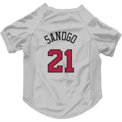 Chicago Bulls Adama Sanogo White Pet Jersey for Dog & Cat