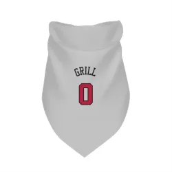 Chicago Bulls Caleb Grill White Pet Bandana for Dog & Cat