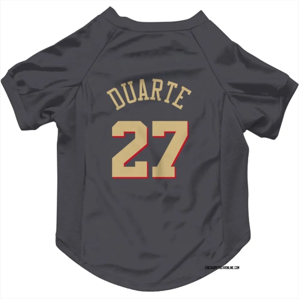 Chicago Bulls Chris Duarte Gray Pet Jersey for Dog & Cat