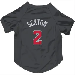 Chicago Bulls Collin Sexton Black Pet Jersey for Dog & Cat