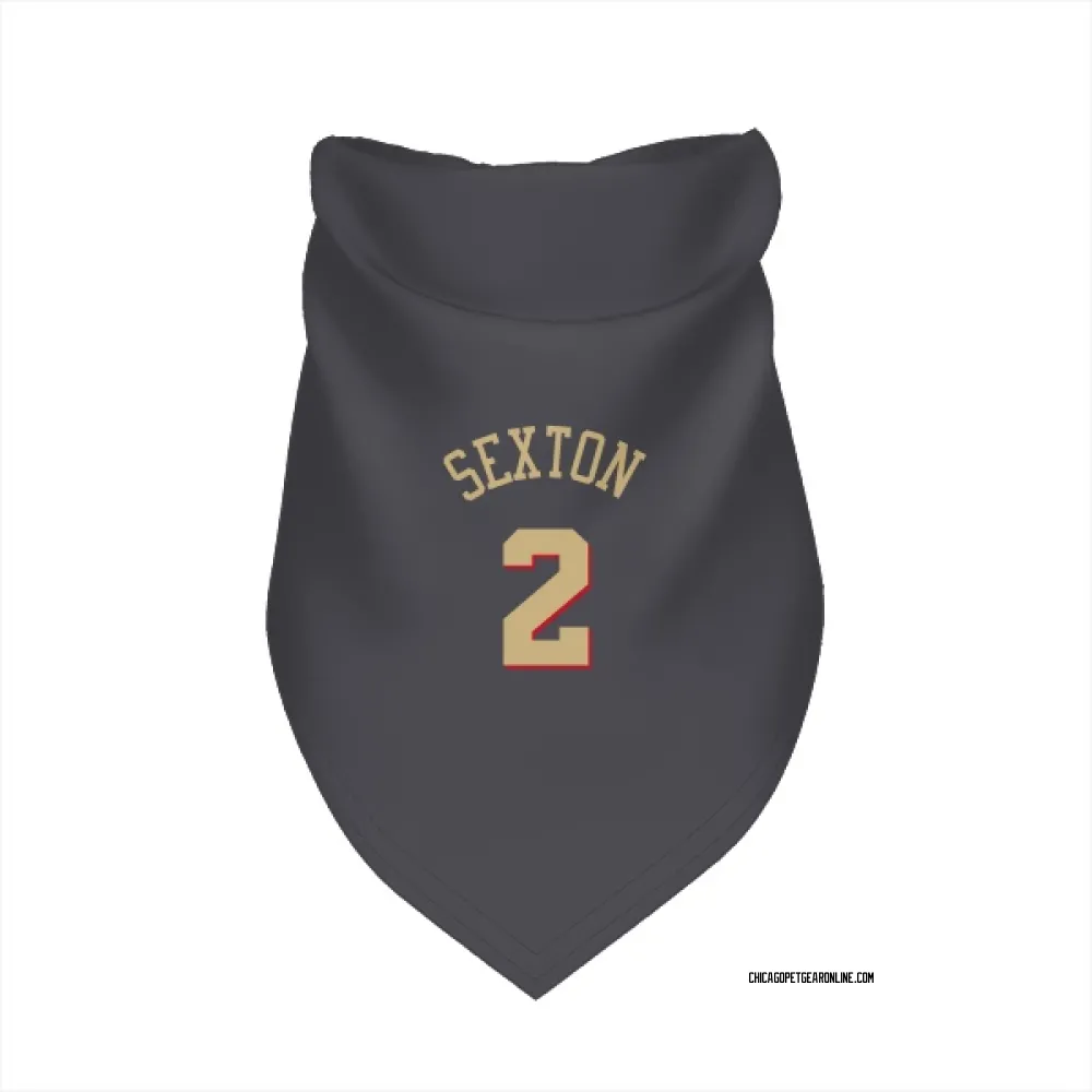 Chicago Bulls Collin Sexton Gray Pet Bandana for Dog & Cat