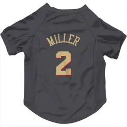 Chicago Bulls Emanuel Miller Gray Pet Jersey for Dog & Cat