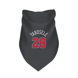 Chicago Bulls Guerschon Yabusele Black Pet Bandana for Dog & Cat