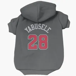 Chicago Bulls Guerschon Yabusele Black Pet Hoodie for Dog & Cat