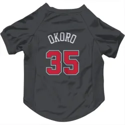 Chicago Bulls Isaac Okoro Black Pet Jersey for Dog & Cat