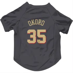 Chicago Bulls Isaac Okoro Gray Pet Jersey for Dog & Cat