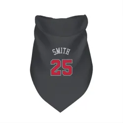 Chicago Bulls Jalen Smith Black Pet Bandana for Dog & Cat