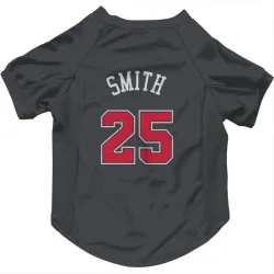 Chicago Bulls Jalen Smith Black Pet Jersey for Dog & Cat