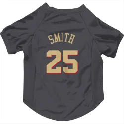 Chicago Bulls Jalen Smith Gray Pet Jersey for Dog & Cat