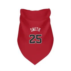 Chicago Bulls Jalen Smith Red Pet Bandana for Dog & Cat