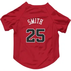 Chicago Bulls Jalen Smith Red Pet Jersey for Dog & Cat
