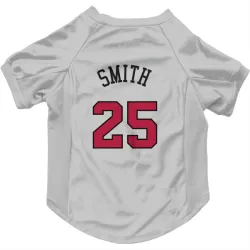 Chicago Bulls Jalen Smith White Pet Jersey for Dog & Cat