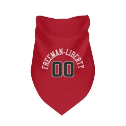 Chicago Bulls Javon Freeman-Liberty Red Pet Bandana for Dog & Cat