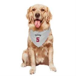 Chicago Bulls John Paxson White Pet Bandana for Dog & Cat