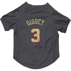 Chicago Bulls Josh Giddey Gray Pet Jersey for Dog & Cat
