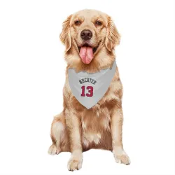 Chicago Bulls Kevin Huerter White Pet Bandana for Dog & Cat