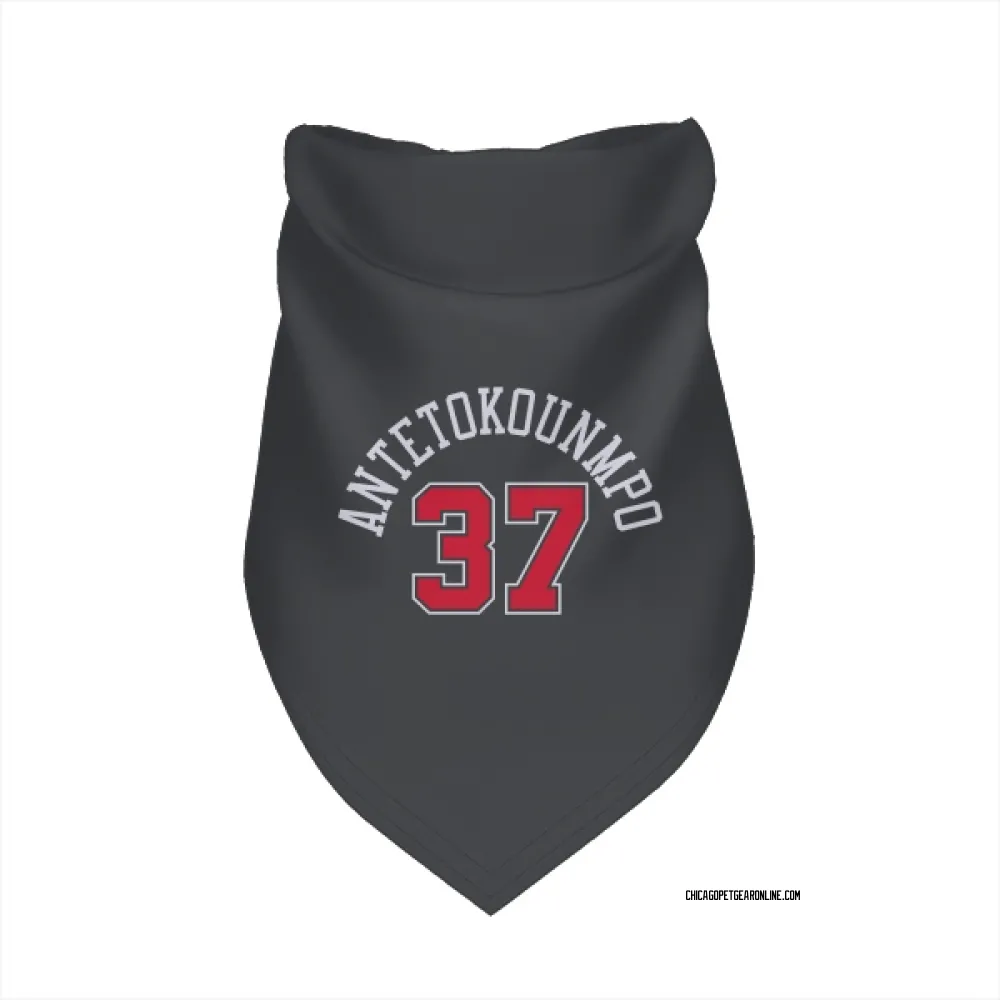 Chicago Bulls Kostas Antetokounmpo Black Pet Bandana for Dog & Cat