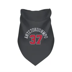Chicago Bulls Kostas Antetokounmpo Black Pet Bandana for Dog & Cat