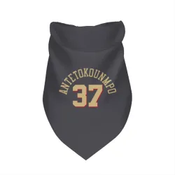 Chicago Bulls Kostas Antetokounmpo Gray Pet Bandana for Dog & Cat