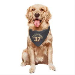 Chicago Bulls Kostas Antetokounmpo Gray Pet Bandana for Dog & Cat