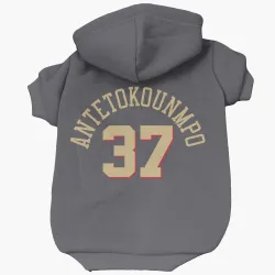 Chicago Bulls Kostas Antetokounmpo Gray Pet Hoodie for Dog & Cat