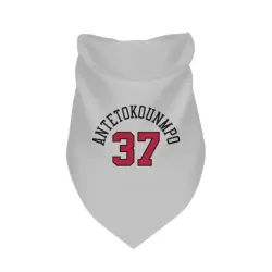 Chicago Bulls Kostas Antetokounmpo White Pet Bandana for Dog & Cat