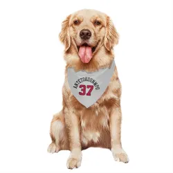 Chicago Bulls Kostas Antetokounmpo White Pet Bandana for Dog & Cat