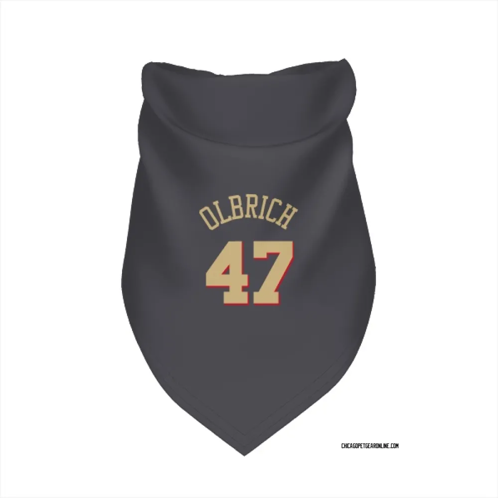 Chicago Bulls Lachlan Olbrich Gray Pet Bandana for Dog & Cat