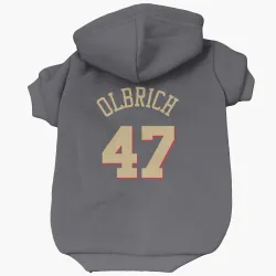 Chicago Bulls Lachlan Olbrich Gray Pet Hoodie for Dog & Cat