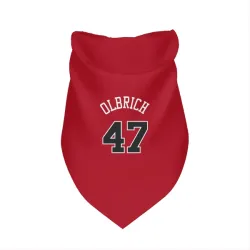 Chicago Bulls Lachlan Olbrich Red Pet Bandana for Dog & Cat