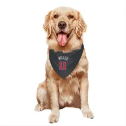 Chicago Bulls Leonard Miller Black Pet Bandana for Dog & Cat