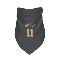Chicago Bulls Leonard Miller Gray Pet Bandana for Dog & Cat