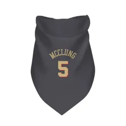 Chicago Bulls Mac McClung Gray Pet Bandana for Dog & Cat