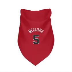 Chicago Bulls Mac McClung Red Pet Bandana for Dog & Cat