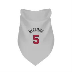 Chicago Bulls Mac McClung White Pet Bandana for Dog & Cat