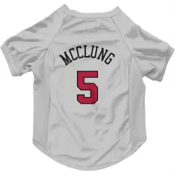 Chicago Bulls Mac McClung White Pet Jersey for Dog & Cat