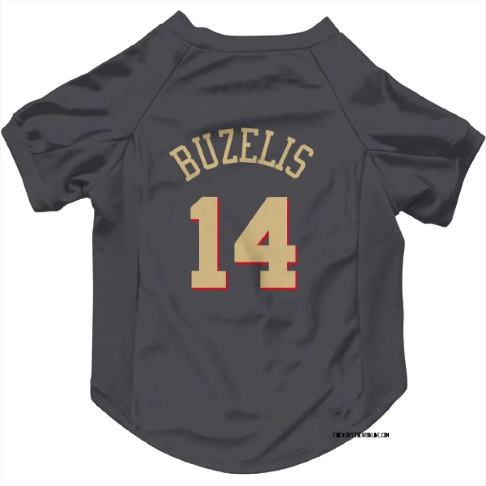 Chicago Bulls Matas Buzelis Gray Pet Jersey for Dog & Cat