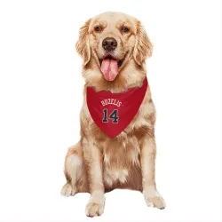 Chicago Bulls Matas Buzelis Red Pet Bandana for Dog & Cat