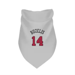 Chicago Bulls Matas Buzelis White Pet Bandana for Dog & Cat