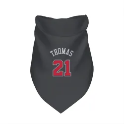 Chicago Bulls Matt Thomas Black Pet Bandana for Dog & Cat