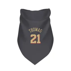 Chicago Bulls Matt Thomas Gray Pet Bandana for Dog & Cat