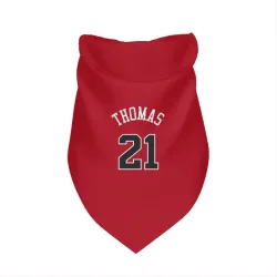Chicago Bulls Matt Thomas Red Pet Bandana for Dog & Cat