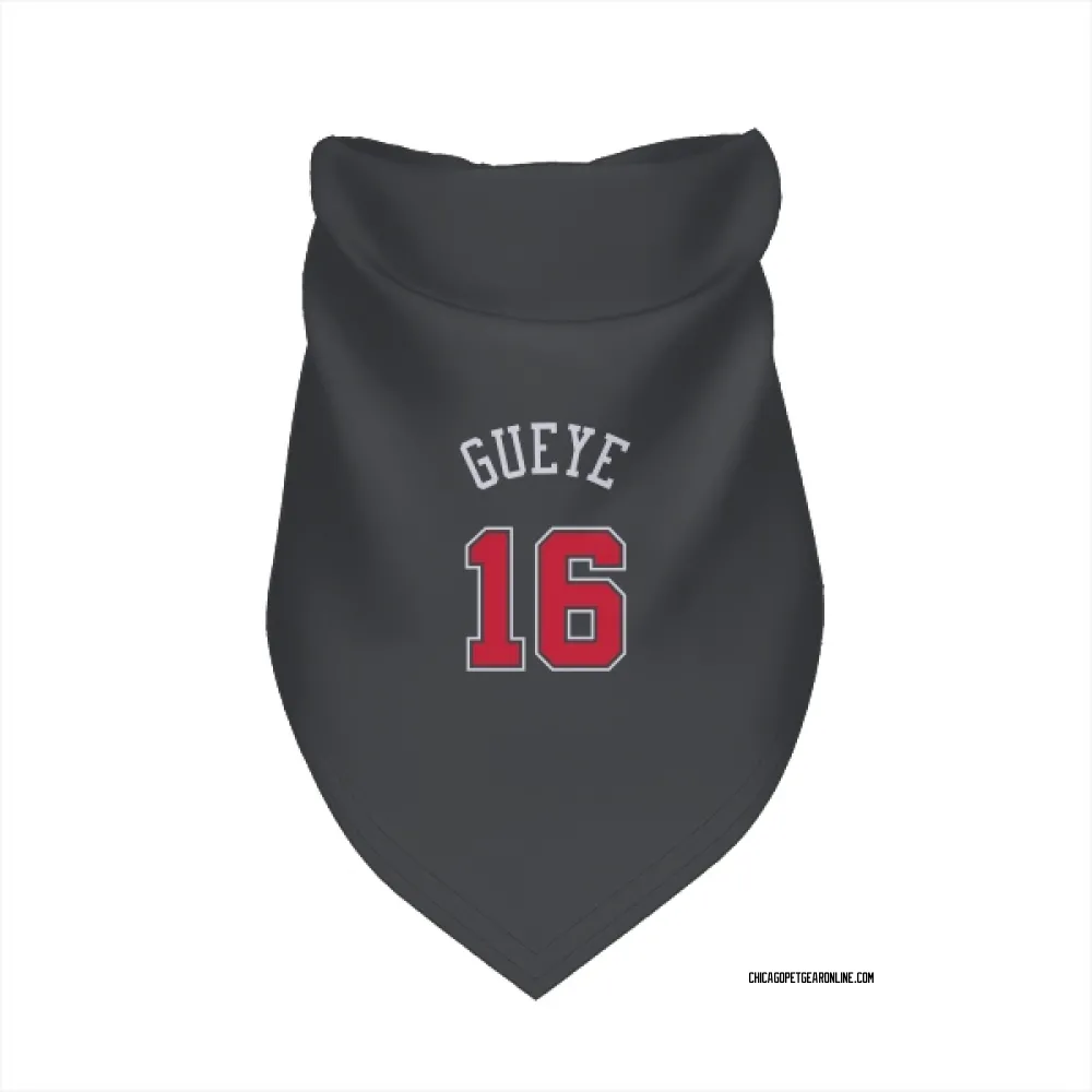 Chicago Bulls Mouhamadou Gueye Black Pet Bandana for Dog & Cat