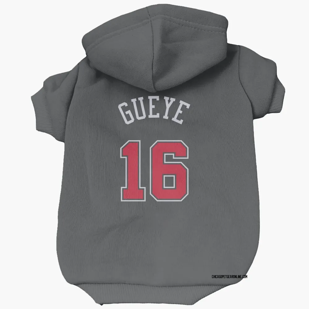 Chicago Bulls Mouhamadou Gueye Black Pet Hoodie for Dog & Cat