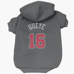 Chicago Bulls Mouhamadou Gueye Black Pet Hoodie for Dog & Cat